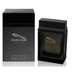 Jaguar Vision III, 100ml 7640111525011