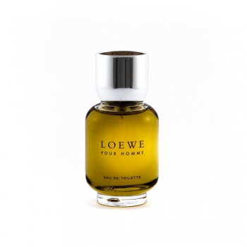 Loewe Pour Homme, 100ml 8426017027762