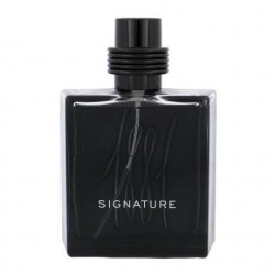 Nino Cerruti 1881 Signature pour Homme, 100ml 3614222835998