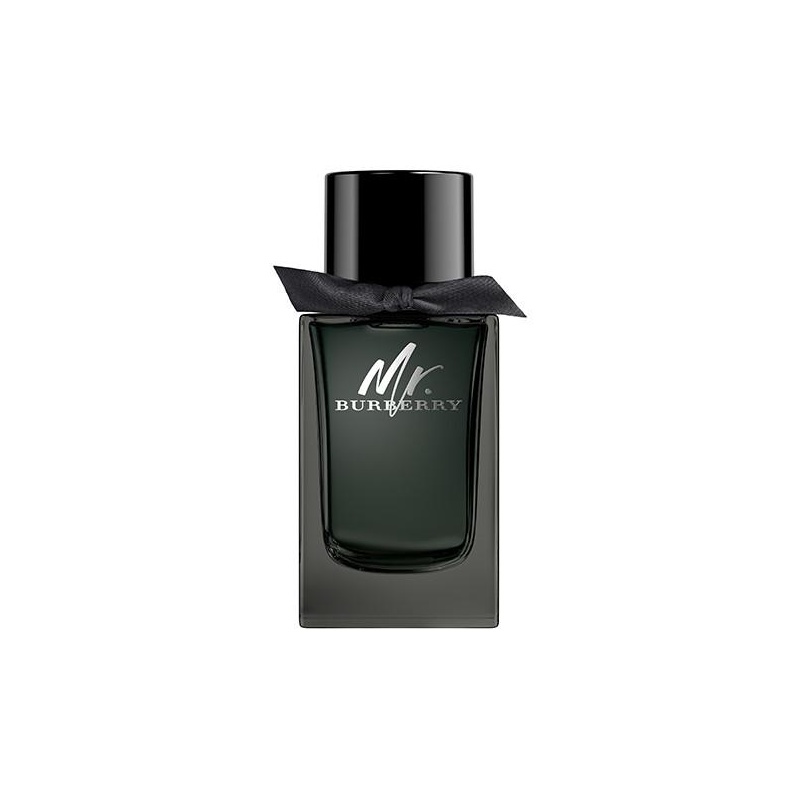 Burberry Mr. Burberry, 100ml 3616301838210