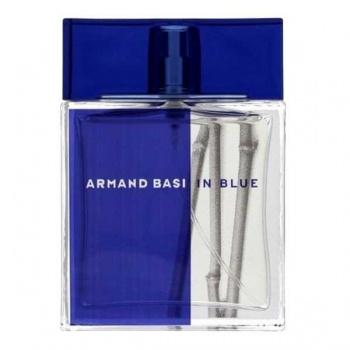 Armand Basi In Blue, 100ml 8427395950208