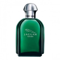 Jaguar For Men, 100ml (Tester) 3562700361142