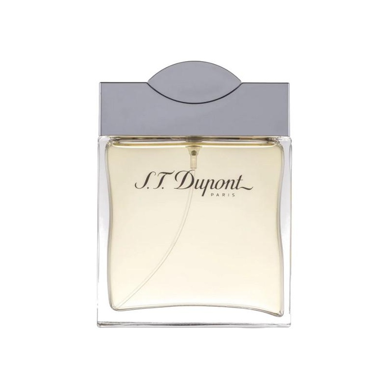 S.T. Dupont pour Homme, 100ml 3386461206630