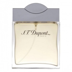 S.T. Dupont pour Homme, 100ml 3386461206630