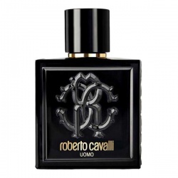 Roberto Cavalli Uomo, 100ml 3614221193952