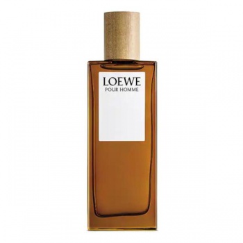 Loewe Pour Homme, 100ml 8426017070119