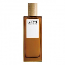 Loewe Pour Homme, 100ml 8426017070119