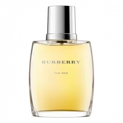 Burberry For Men, 100ml 3614226905758