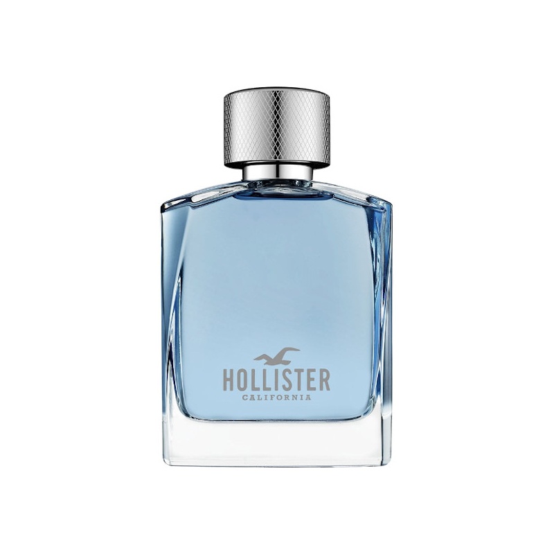 Hollister Wave for Him, 100ml 0085715260017