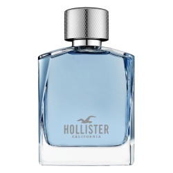 Hollister Wave for Him, 100ml 0085715260017